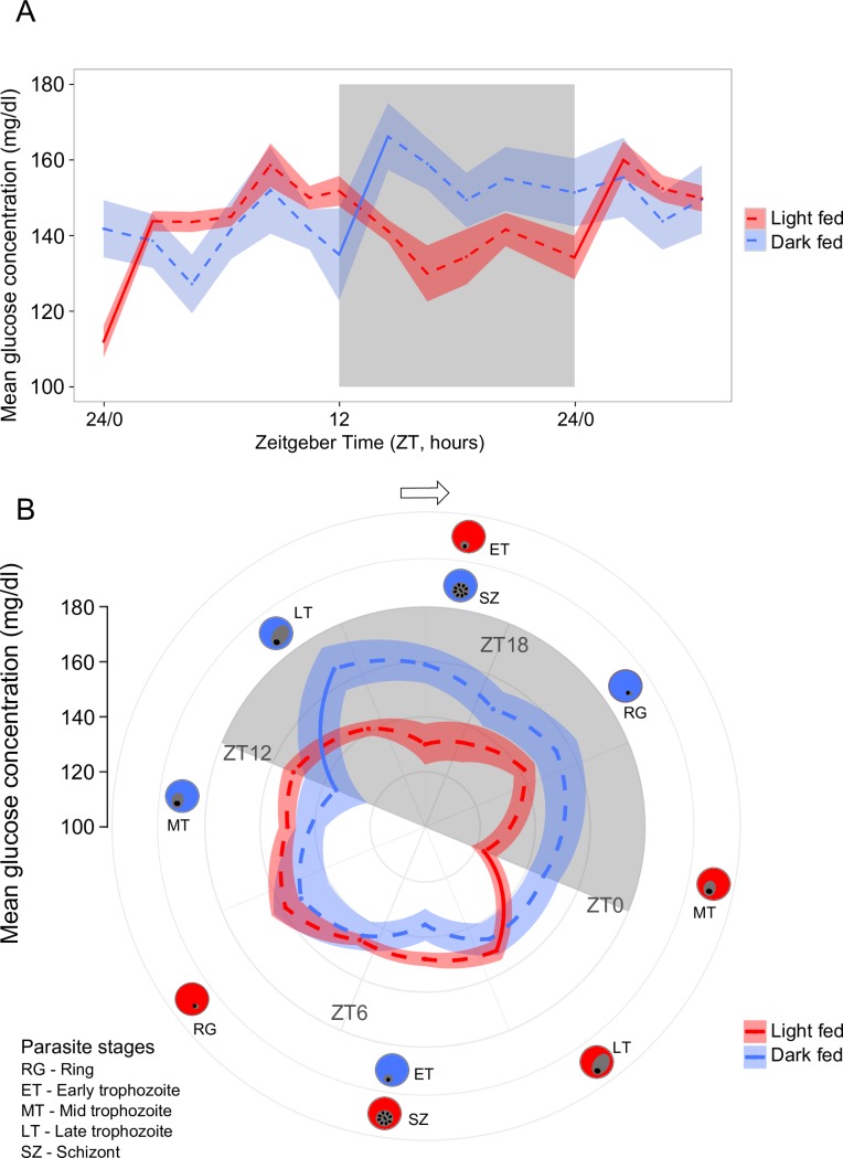 Fig 6