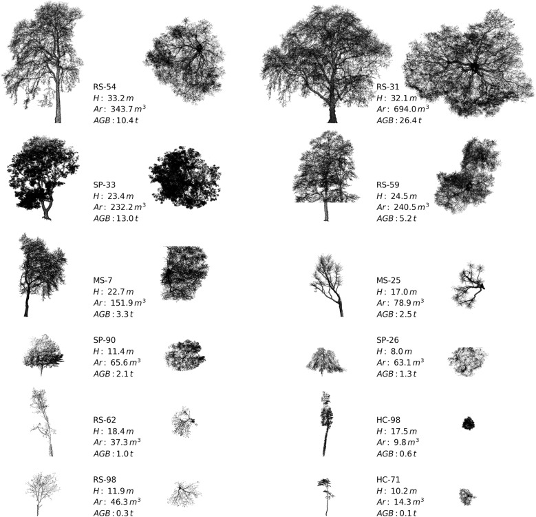 Fig. 4
