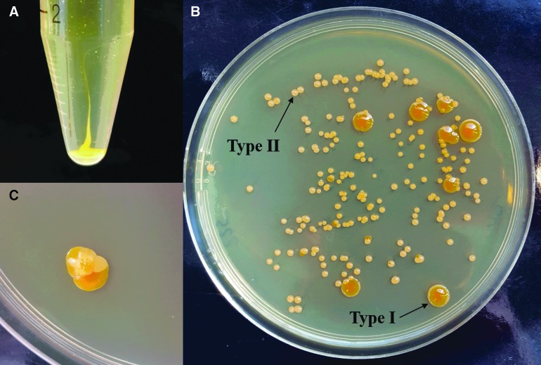 FIG. 4.