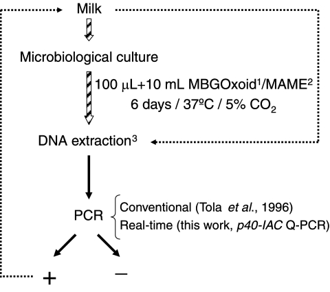 FIG. 1.