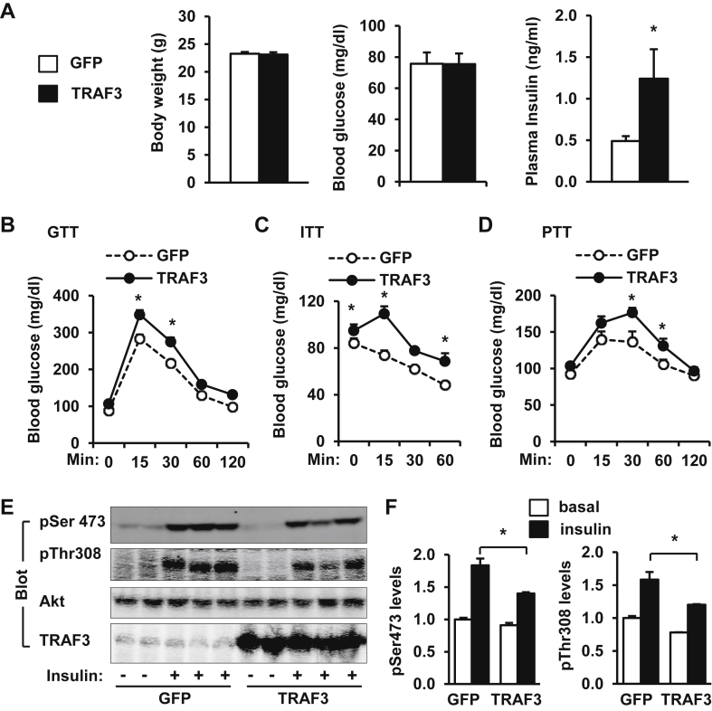 Figure 7