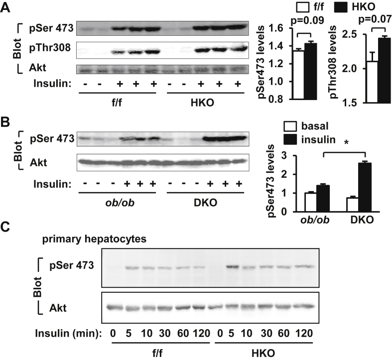 Figure 6