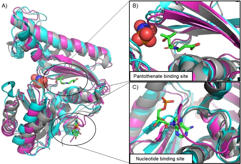 Figure 4.