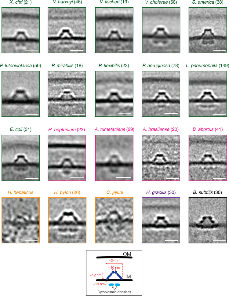 FIG 2