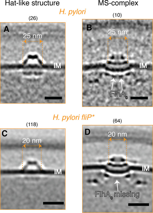 FIG 4