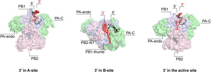 Fig. 3