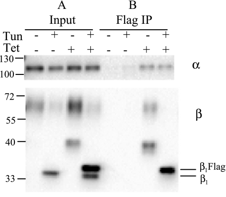 Fig. 9.