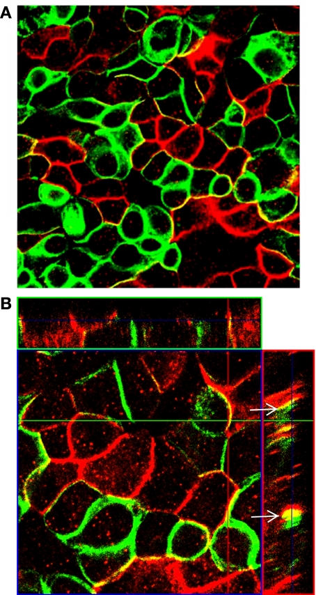 Fig. 7.