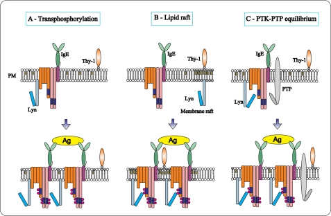 FIGURE 11.