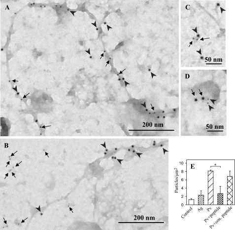 FIGURE 10.