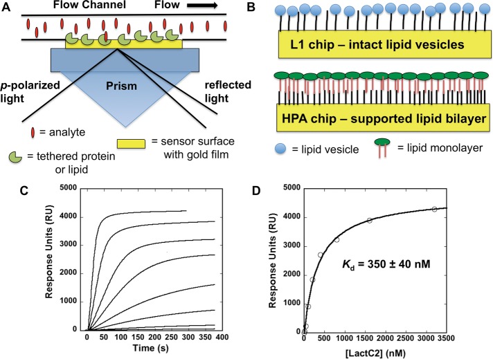 FIGURE 1: