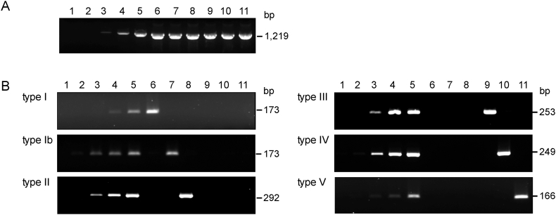 Figure 2