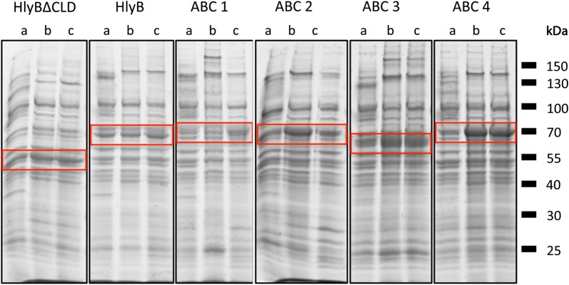 Fig. 2