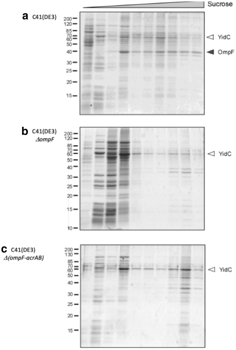 Fig. 6