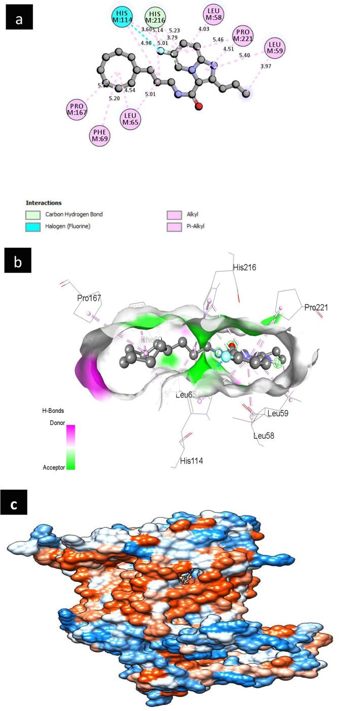 Fig. 3