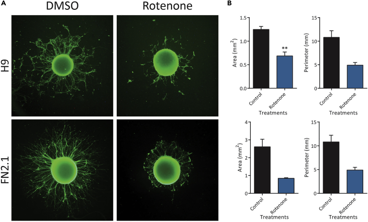 Figure 10