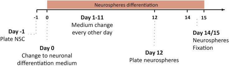 Figure 7