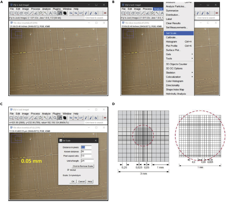 Figure 3