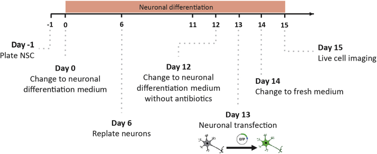 Figure 1