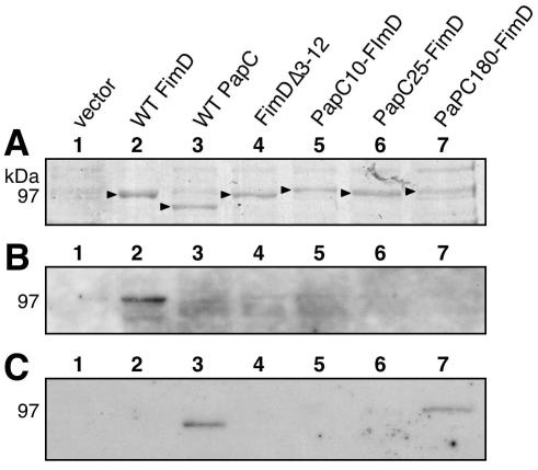 FIG. 7.