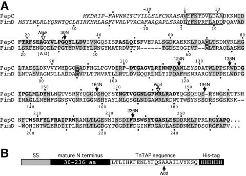 FIG. 1.