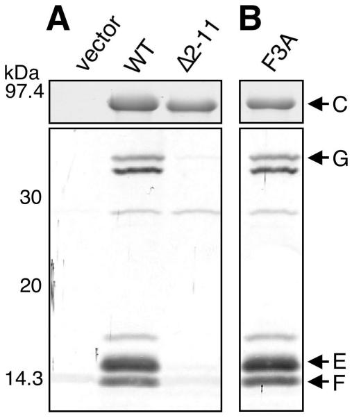 FIG. 4.