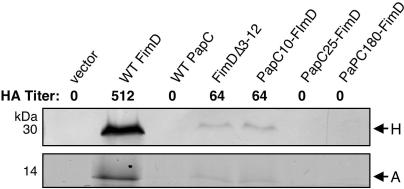 FIG. 6.