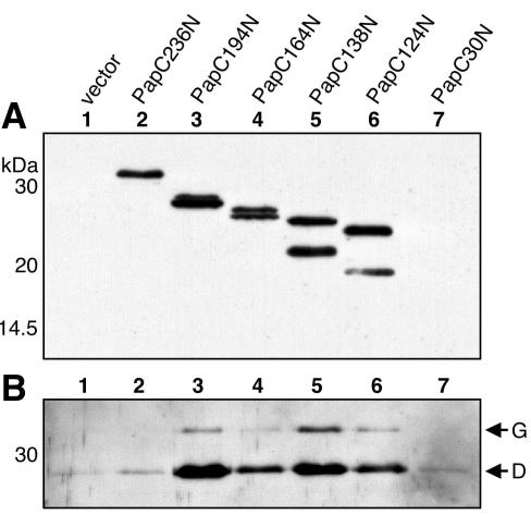 FIG. 8.