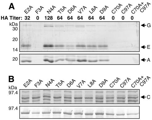 FIG. 9.