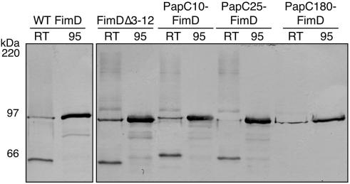 FIG. 5.