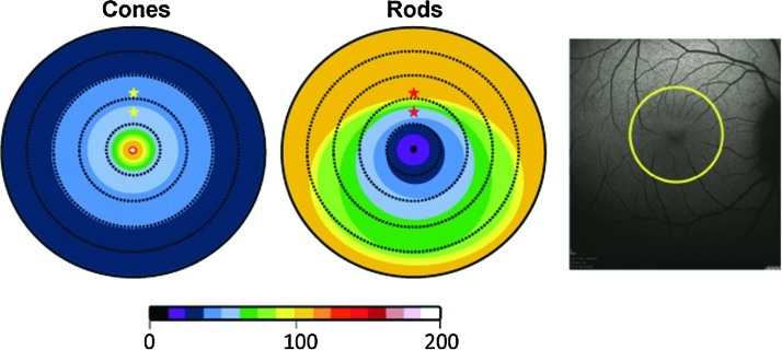 FIG. 1.