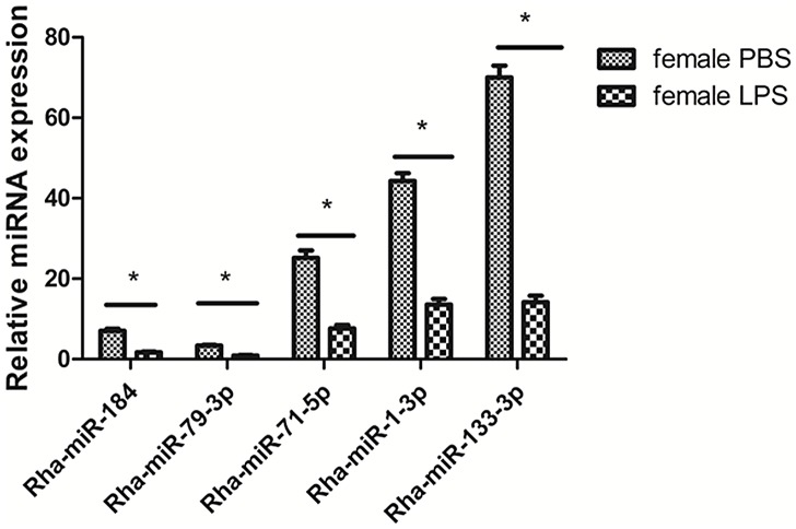 Fig 5