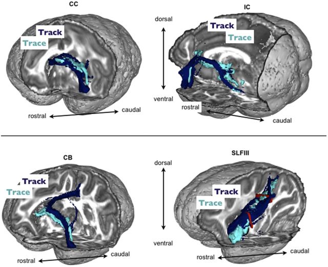 Figure 10.