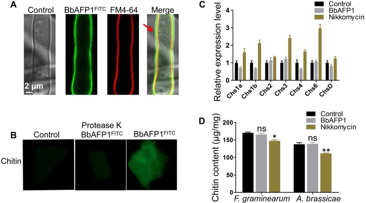 Fig 4