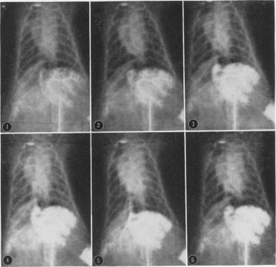 Fig. 8b.