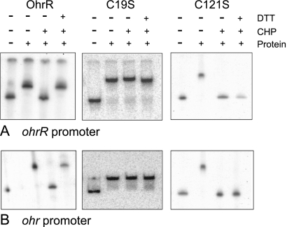 FIG. 6.