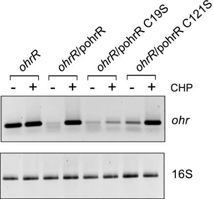 FIG. 5.