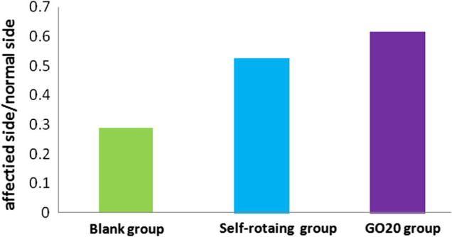 Fig. 10