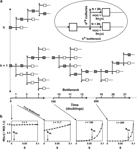 Figure 2.—