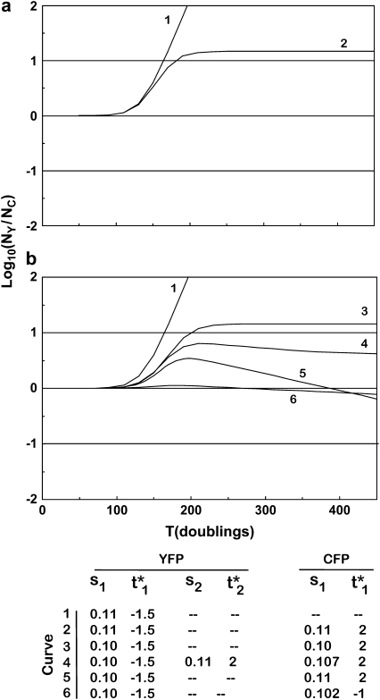 Figure 6.—