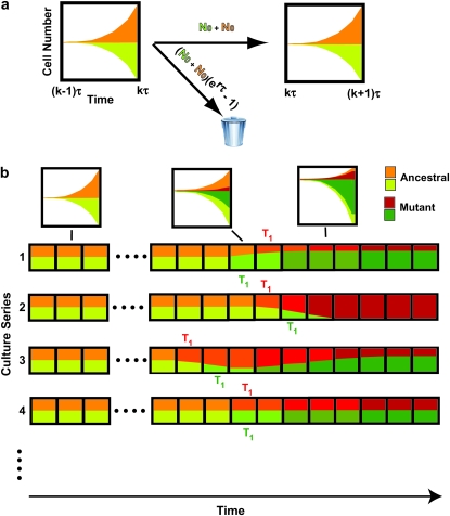 Figure 1.—