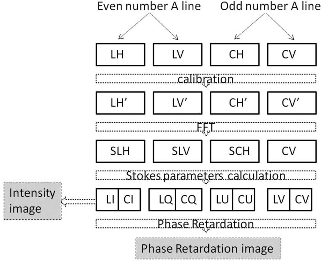 Fig. 4