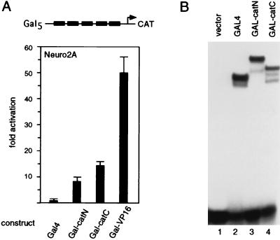 FIG. 6