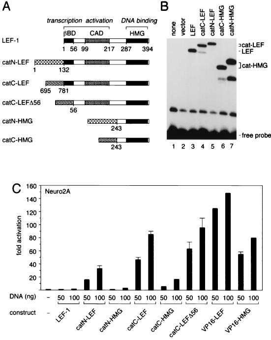 FIG. 7