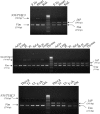 Figure 5