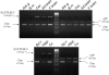 Figure 6