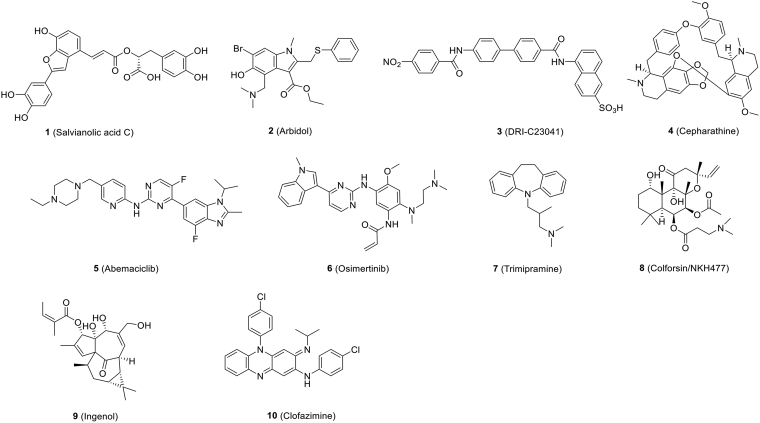 Figure 4