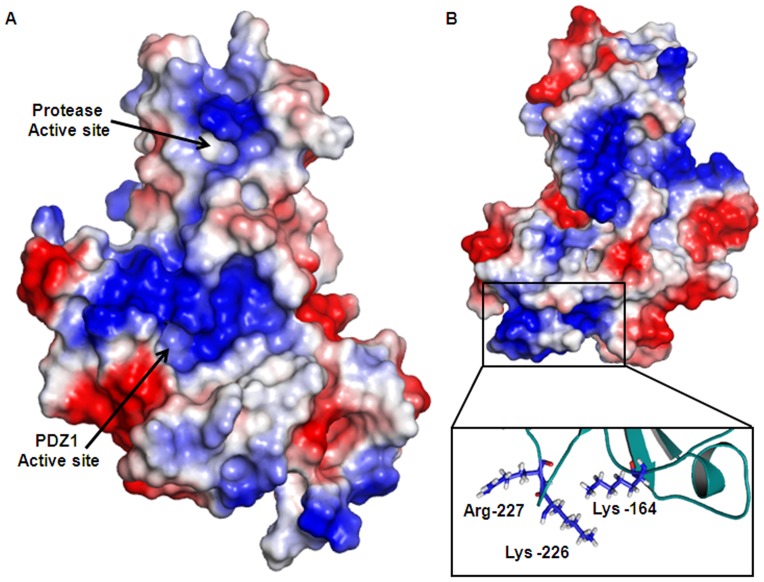 Figure 9