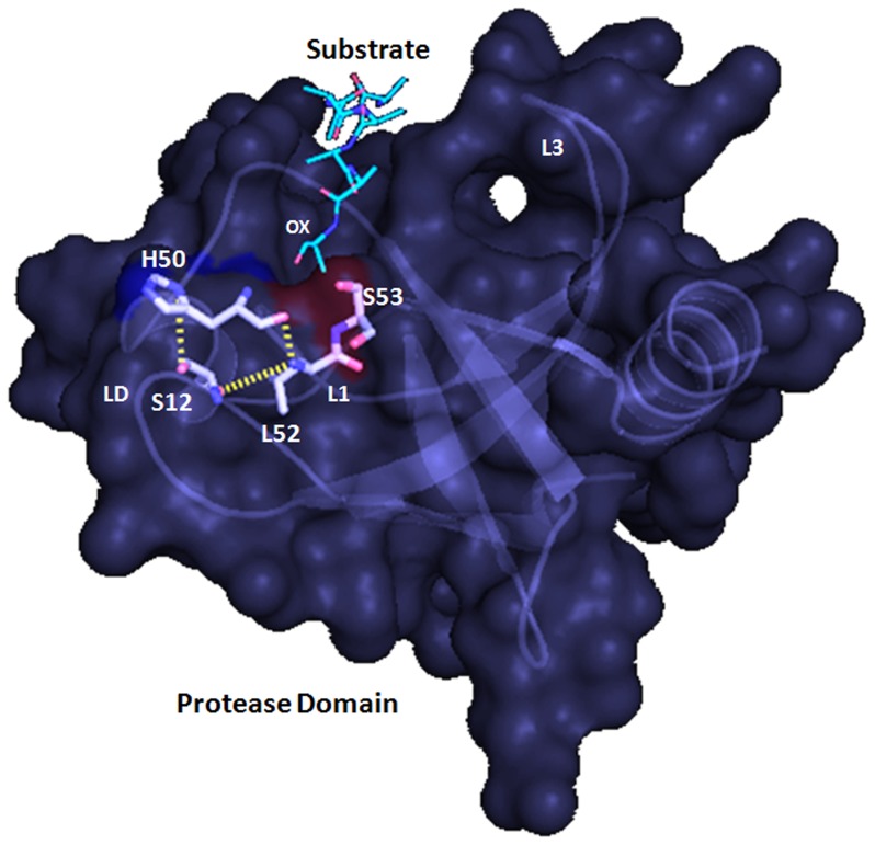 Figure 5