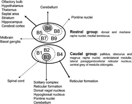 Fig. (1)